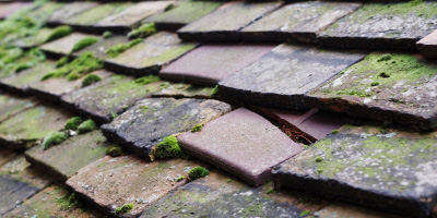Wimblington roof repair costs